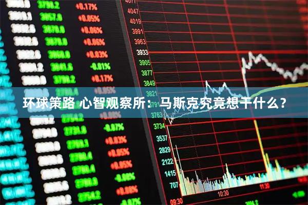 环球策路 心智观察所：马斯克究竟想干什么？
