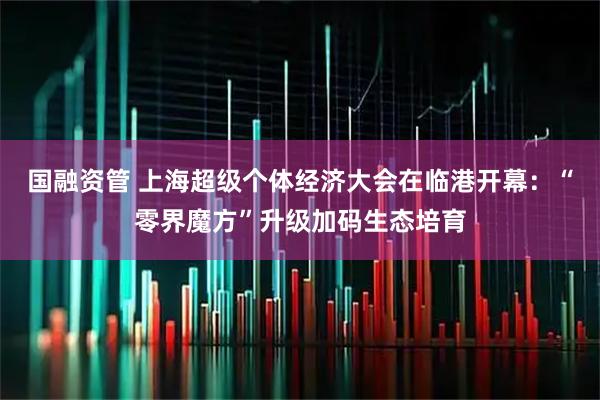 国融资管 上海超级个体经济大会在临港开幕：“零界魔方”升级加码生态培育