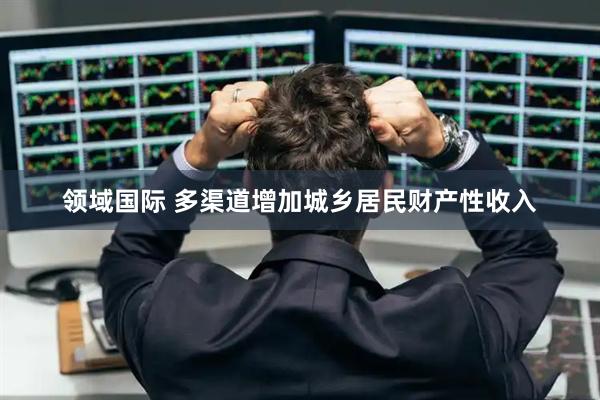 领域国际 多渠道增加城乡居民财产性收入