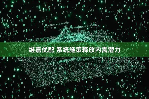 维嘉优配 系统施策释放内需潜力